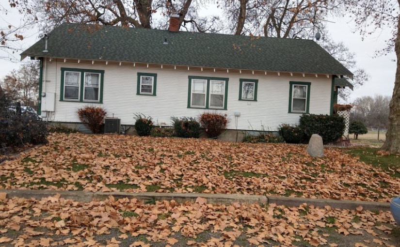 The big 3-0: Day fifteen – The family&nbsp;BBQ!