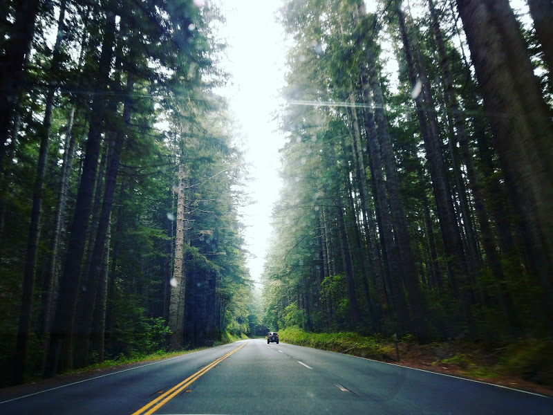 Northern California Scenery