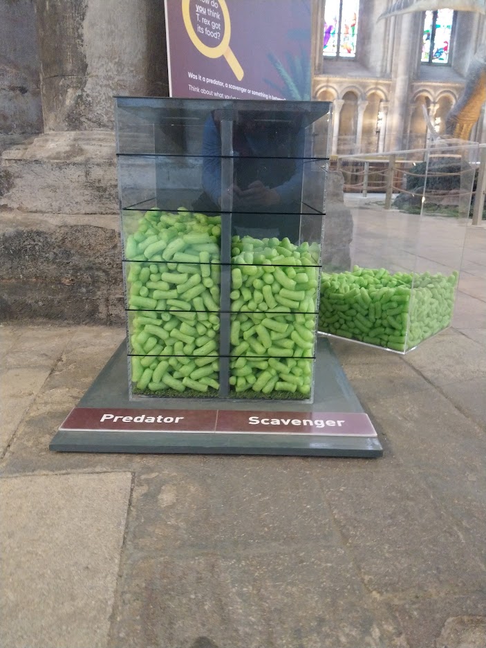 Predator or Scavenger