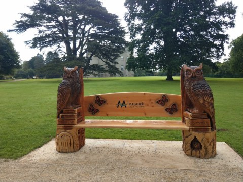 Malahide Owls